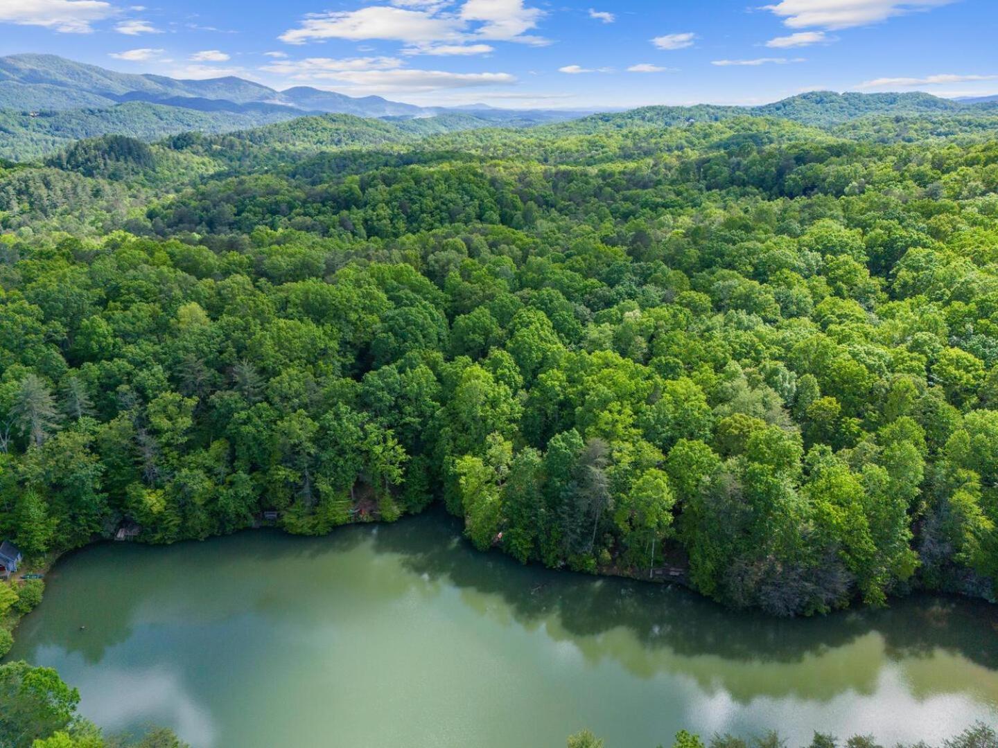 Cherry Lake Hideaway Блу-Ридж Екстер'єр фото