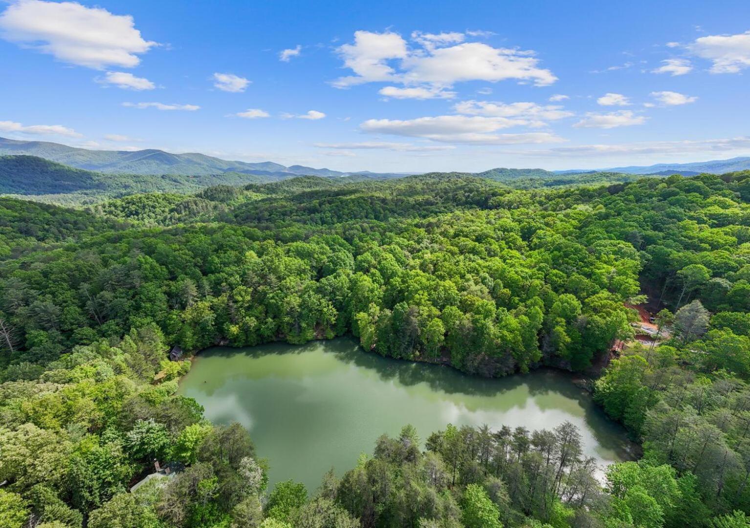 Cherry Lake Hideaway Блу-Ридж Екстер'єр фото